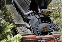 Yosemite Cheese, Gold and Rails